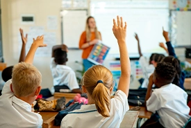Total Environment Plots Alibaug Schools